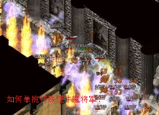 ��ε��������ţħ������