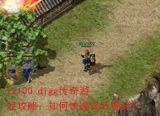 tx100.digg������Ϸ���ԣ���ο��������ȼ���