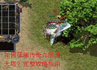 �����������Ų�ͨ��������������ָ��