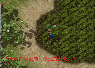 ����4d��ְҵ��ο�������ս����