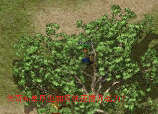 ����4d��ְҵ��ο�������ս����