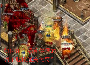 ������ᳪ����ݵĵ�������ͨ�ش��棿