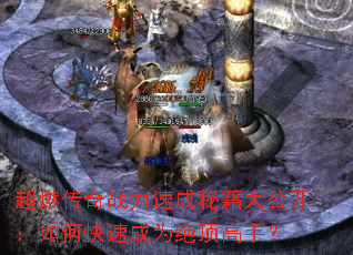 ��ȼ����ս���ٳ��ؼ��󹫿�����ο��ٳ�Ϊ�������֣�