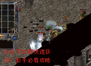 仙凡币如何快速获取?新手必看攻略 仙凡币如何快速获取?新手必看攻略