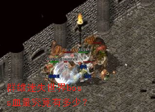 Ⱥ����ʧ����bossѪ�������ж��٣�