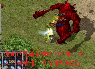 �����������ֹ����ʴ𼯣������ŵ���ͨ��������Щ���⣿