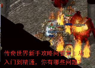 �����������ֹ����ʴ𼯣������ŵ���ͨ��������Щ���⣿