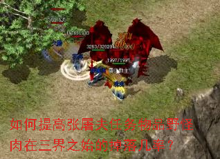 如何提高张屠夫任务物品野怪肉在三界之始的掉落几率? 如何提高张屠夫任务物品野怪肉在三界之始的掉落几率?