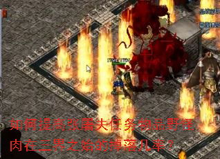 如何提高张屠夫任务物品野怪肉在三界之始的掉落几率? 如何提高张屠夫任务物品野怪肉在三界之始的掉落几率?