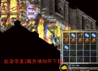 血染苍龙2服务端如何下载? 血染苍龙2服务端如何下载?