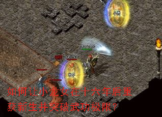 �����С��Ů��ʮ������ػ�������ͻ���书���ޣ�