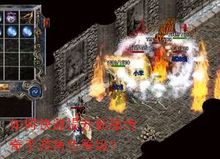 如何快速提升新服传奇手游角色等级? 如何快速提升新服传奇手游角色等级?