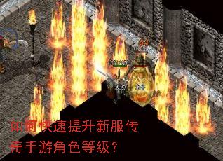 如何快速提升新服传奇手游角色等级? 如何快速提升新服传奇手游角色等级?