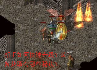 新手如何快速升级?装备获取有哪些秘诀? 新手如何快速升级?装备获取有哪些秘诀?