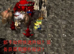 新手如何快速升级?装备获取有哪些秘诀? 新手如何快速升级?装备获取有哪些秘诀?