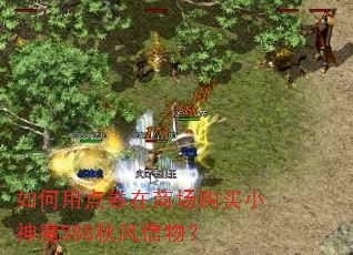 如何用点卷在商场购买小神魔388秋风信物? 如何用点卷在商场购买小神魔388秋风信物?