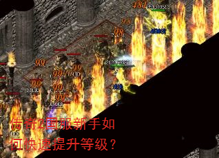 传奇2国服新手如何快速提升等级? 传奇2国服新手如何快速提升等级?
