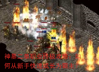 神墓二单职业终极攻略:如何从新手快速成长为霸主? 神墓二单职业终极攻略:如何从新手快速成长为霸主?