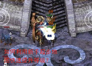 如何利用新手起步地图快速提升等级? 如何利用新手起步地图快速提升等级?