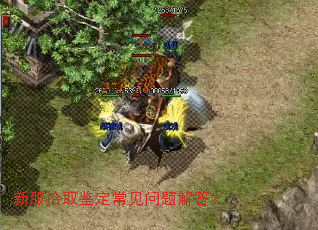 新服拾取鉴定常见问题解答? 新服拾取鉴定常见问题解答?
