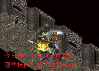 今日刚开迷失SF法师可学哪些技能?新手速看攻略 今日刚开迷失SF法师可学哪些技能?新手速看攻略