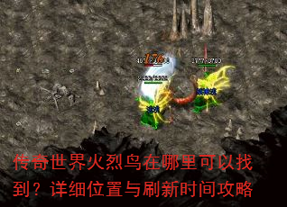 传奇世界火烈鸟在哪里可以找到?详细位置与刷新时间攻略 传奇世界火烈鸟在哪里可以找到?详细位置与刷新时间攻略