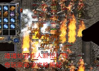 �������ը�����У�������ұ�ѧ���Խ���