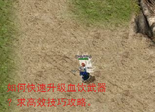 如何快速升级血饮武器?求高效技巧攻略。 如何快速升级血饮武器?求高效技巧攻略。