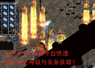 �����996����ƽ̨����������ɫ�ȼ���װ����ȡ��
