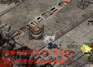 传奇私服SF盒子如何选择?新手快速升级攻略有哪些? 传奇私服SF盒子如何选择?新手快速升级攻略有哪些?