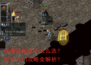 传奇私服盒子怎么选?新手入门攻略全解析? 传奇私服盒子怎么选?新手入门攻略全解析?