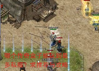 哪个传奇盒子能玩到最多私服?求推荐与攻略 哪个传奇盒子能玩到最多私服?求推荐与攻略