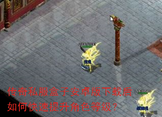 传奇私服盒子安卓版下载后如何快速提升角色等级? 传奇私服盒子安卓版下载后如何快速提升角色等级?
