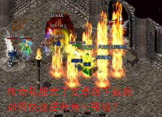 传奇私服盒子安卓版下载后如何快速提升角色等级? 传奇私服盒子安卓版下载后如何快速提升角色等级?