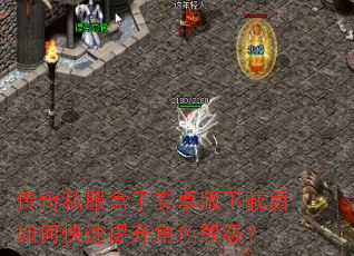 传奇私服盒子安卓版下载后如何快速提升角色等级? 传奇私服盒子安卓版下载后如何快速提升角色等级?