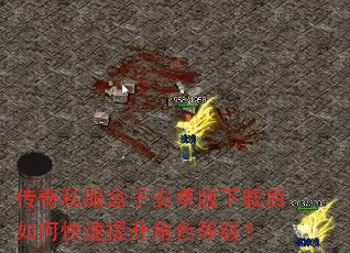 传奇私服盒子安卓版下载后如何快速提升角色等级? 传奇私服盒子安卓版下载后如何快速提升角色等级?
