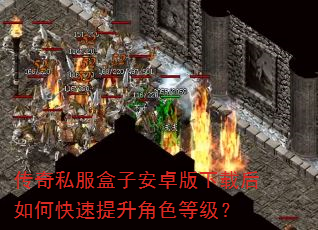 传奇私服盒子安卓版下载后如何快速提升角色等级? 传奇私服盒子安卓版下载后如何快速提升角色等级?