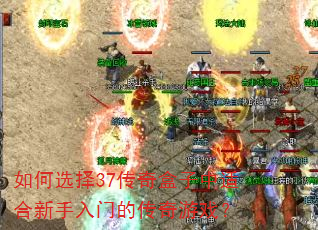 如何选择37传奇盒子中适合新手入门的传奇游戏? 如何选择37传奇盒子中适合新手入门的传奇游戏?