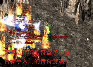如何选择37传奇盒子中适合新手入门的传奇游戏? 如何选择37传奇盒子中适合新手入门的传奇游戏?