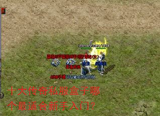 十大传奇私服盒子哪个最适合新手入门? 十大传奇私服盒子哪个最适合新手入门?