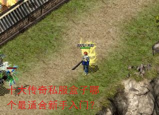 十大传奇私服盒子哪个最适合新手入门? 十大传奇私服盒子哪个最适合新手入门?