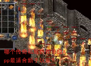 哪个传奇私服折扣平台App最适合新手玩家? 哪个传奇私服折扣平台App最适合新手玩家?