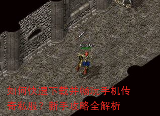 如何快速下载并畅玩手机传奇私服?新手攻略全解析 如何快速下载并畅玩手机传奇私服?新手攻略全解析