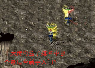 十大传奇盒子排名中哪个最适合新手入门? 十大传奇盒子排名中哪个最适合新手入门?