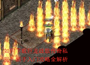 ������ؾ���ս�贫��˽�����������Ź���ȫ����