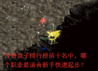 传奇盒子排行榜前十名中,哪个职业最适合新手快速起步? 传奇盒子排行榜前十名中,哪个职业最适合新手快速起步?