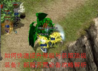 如何快速提升等级与获取顶级装备?新服开荒必备攻略解析 如何快速提升等级与获取顶级装备?新服开荒必备攻略解析