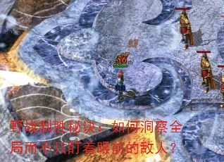 野战制胜秘诀:如何洞察全局而不只盯着眼前的敌人? 野战制胜秘诀:如何洞察全局而不只盯着眼前的敌人?