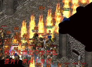 ���淨ʦѪ������ô�����������֧�С�
