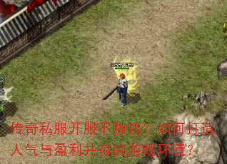 ����˽��������׬Ǯ����δ���������ӯ���������Ϸ������